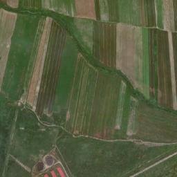 Comuna Mişca map(satellite map)
