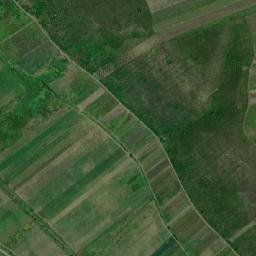 Comuna Dragomireşti map(satellite map)