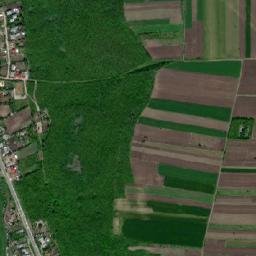 Muntenii de Jos map(satellite map)