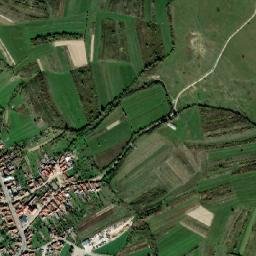 Rieni map(satellite map)