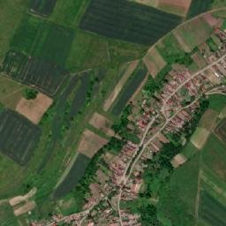 Cotuș map(satellite map)