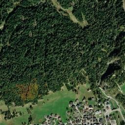 Sappada map(satellite map)