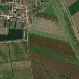 Pilu map(satellite map)