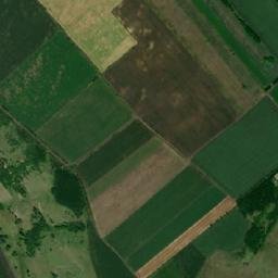 Chisălița map(satellite map)