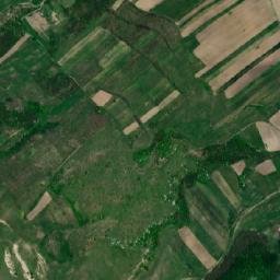 Coloneşti map(satellite map)