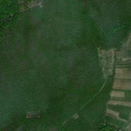 Comuna Lipovăţ map(satellite map)
