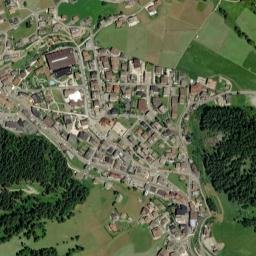 Selva map(satellite map)