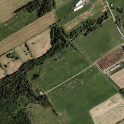 Chaudière-Appalaches map(satellite map)