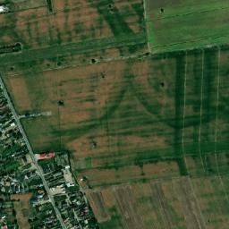 Letea Veche map(satellite map)