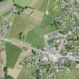 Savigny map(satellite map)
