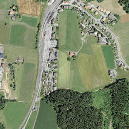 Palézieux map(satellite map)