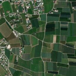 Nalles map(satellite map)