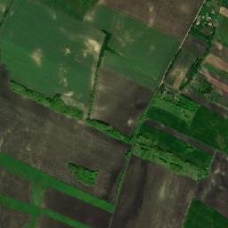 Linț map(satellite map)