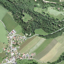 Saubraz map(satellite map)