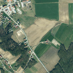 Trnovska Vas map(satellite map)