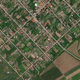Sintea Mare map(satellite map)