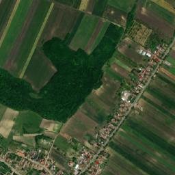 Roșiori map(satellite map)