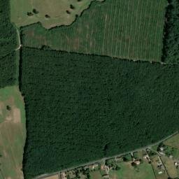 Département de l'Allier map(satellite map)