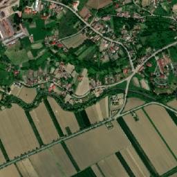 Sânvăsii map(satellite map)