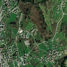 Ovaro map(satellite map)