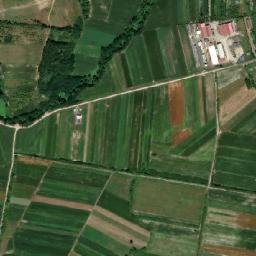 Beliu map(satellite map)
