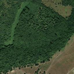 Archiş map(satellite map)