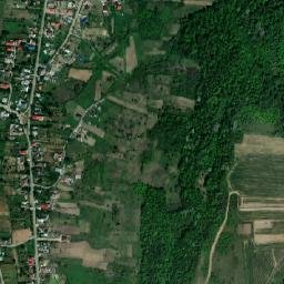 Comuna Tamaşi map(satellite map)