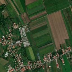 Ciba map(satellite map)