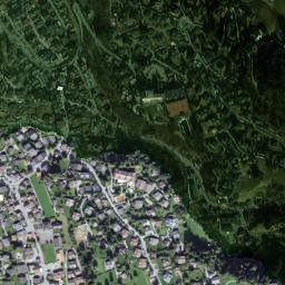 Gstaad map(satellite map)