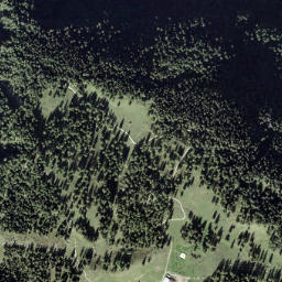 Leventina District map(satellite map)