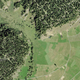 Goms District map(satellite map)