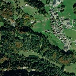 Sauris di Sotto map(satellite map)