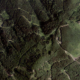 Ebriach map(satellite map)