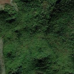 Vaşcău map(satellite map)