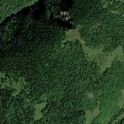 Scărişoara map(satellite map)