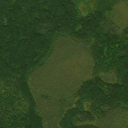 Douglas County map(satellite map)