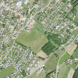 Arzier map(satellite map)