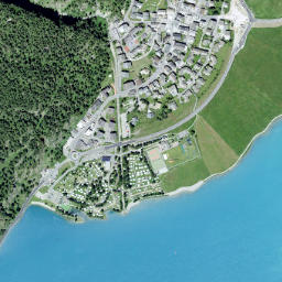 Silvaplana map(satellite map)