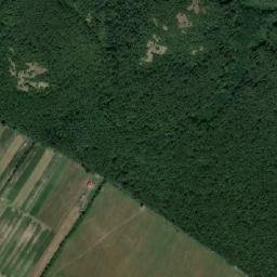 Comuna Cărand map(satellite map)