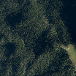 Koroška Bela map(satellite map)