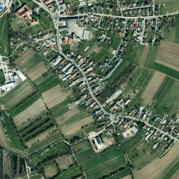 Rače map(satellite map)