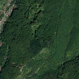 Moneasa map(satellite map)