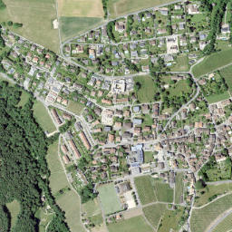 Begnins map(satellite map)