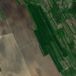 Comuna Puieşti map(satellite map)