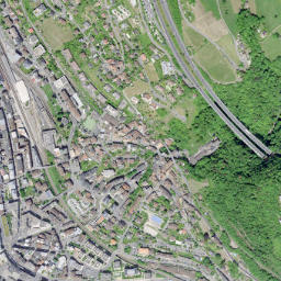 Montreux map(satellite map)