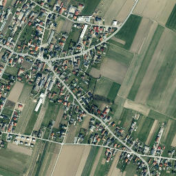 Dornava map(satellite map)