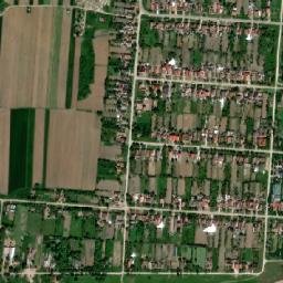 Şicula map(satellite map)