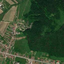 Viforoasa map(satellite map)