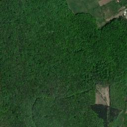 Răchitoasa map(satellite map)