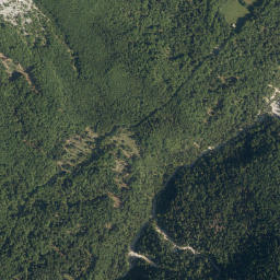 Mojstrana map(satellite map)